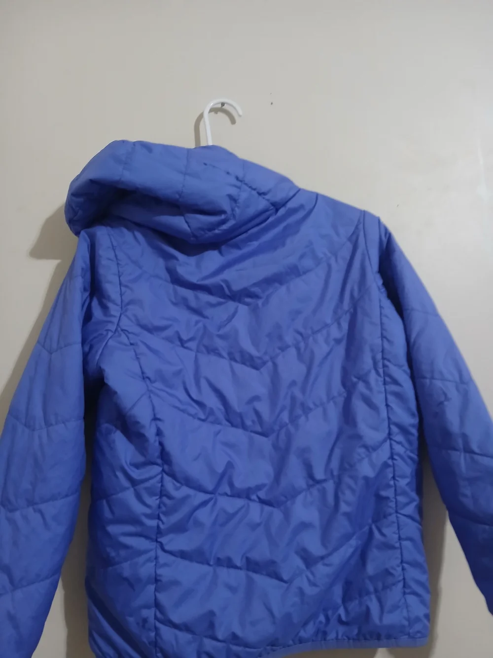 The North Face Kids' Blue Insulated Hooded Jacket